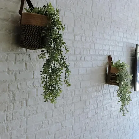 Appartement Pura Agro Vida