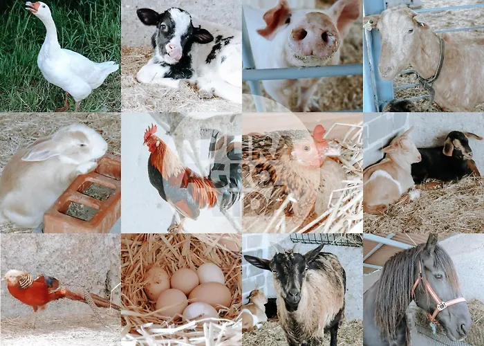 Pura Agro Vida Апартаменты Галисано