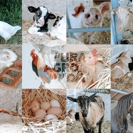 Pura Agro Vida Апартаменты Галисано